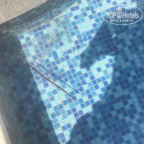 фото из отзыва ID 2266279