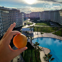 фото из отзыва ID 2266281