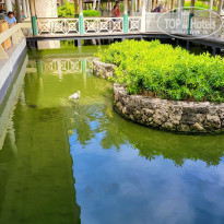 фото из отзыва ID 2265448