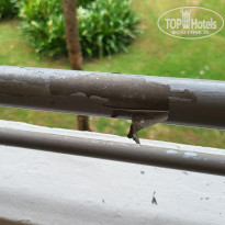 фото из отзыва ID 2265448