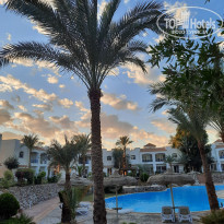 фото из отзыва ID 2266302