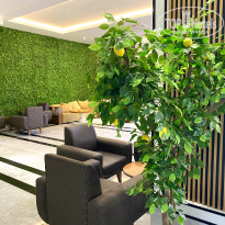 фото из отзыва ID 2266336