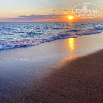 фото из отзыва ID 2266336