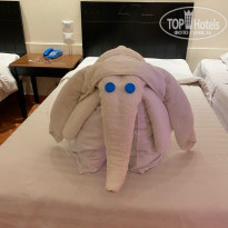 фото из отзыва ID 2266446