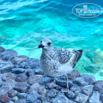 фото из отзыва ID 2266332