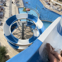 фото из отзыва ID 2266540