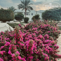 фото из отзыва ID 2266593