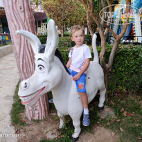 фото из отзыва ID 2266608