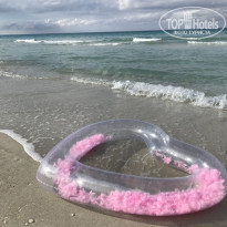 фото из отзыва ID 2266616