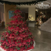 фото из отзыва ID 2266734