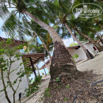 фото из отзыва ID 2266776