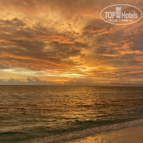 фото из отзыва ID 2266825