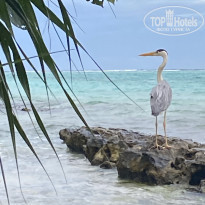 фото из отзыва ID 2266825