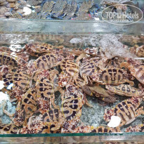 фото из отзыва ID 2266905