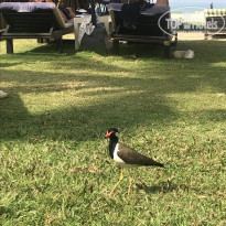 фото из отзыва ID 2265957