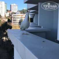 фото из отзыва ID 2267006