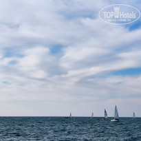 фото из отзыва ID 2267028