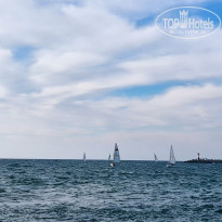 фото из отзыва ID 2267028