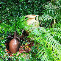 фото из отзыва ID 2267028