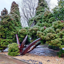 фото из отзыва ID 2267028