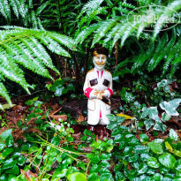 фото из отзыва ID 2267028