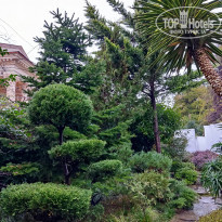 фото из отзыва ID 2267028