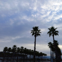 фото из отзыва ID 2267095