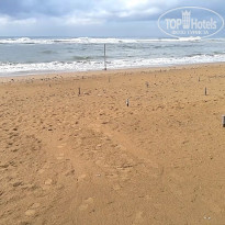 фото из отзыва ID 2267436