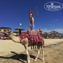 фото из отзыва ID 2267810