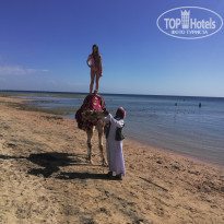 фото из отзыва ID 2267810