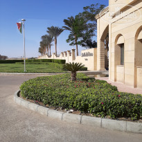 фото из отзыва ID 2267848