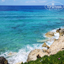 фото из отзыва ID 2267966