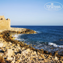 фото из отзыва ID 2267966