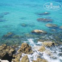 фото из отзыва ID 2267966