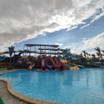 фото из отзыва ID 2267993