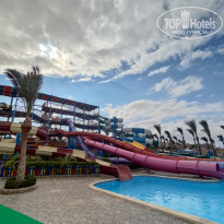 фото из отзыва ID 2267993