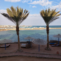 фото из отзыва ID 2267988