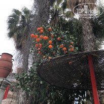 фото из отзыва ID 2268014