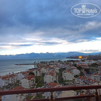 фото из отзыва ID 2268014