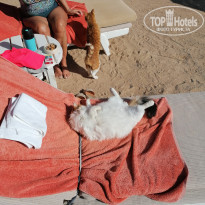 фото из отзыва ID 2268186