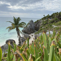 фото из отзыва ID 2268266