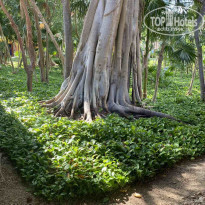 фото из отзыва ID 2268266