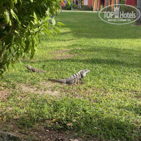 фото из отзыва ID 2268266