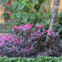 фото из отзыва ID 2268266