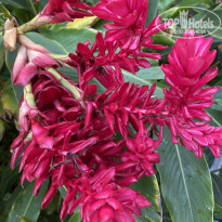 фото из отзыва ID 2268266