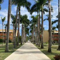 фото из отзыва ID 2268266