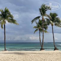 фото из отзыва ID 2268266