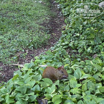 фото из отзыва ID 2268266