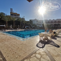 фото из отзыва ID 2268285