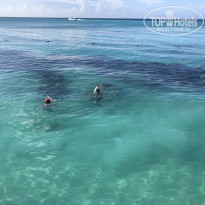 фото из отзыва ID 2268541